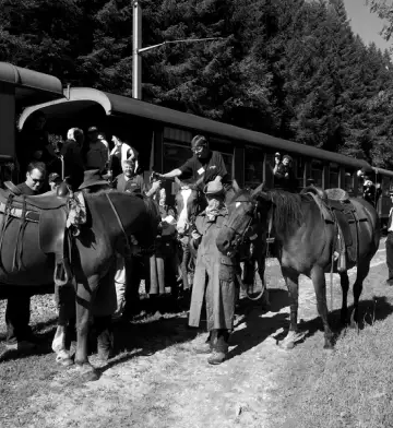 Attaque du train